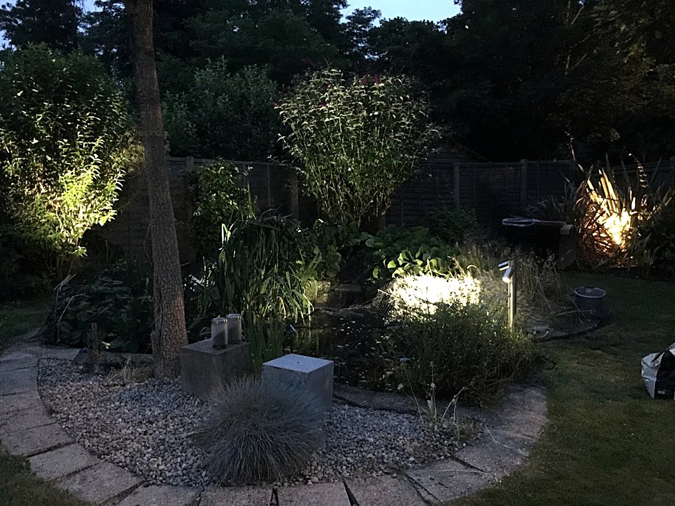 Garden lit at night with uplighting to planting and borders